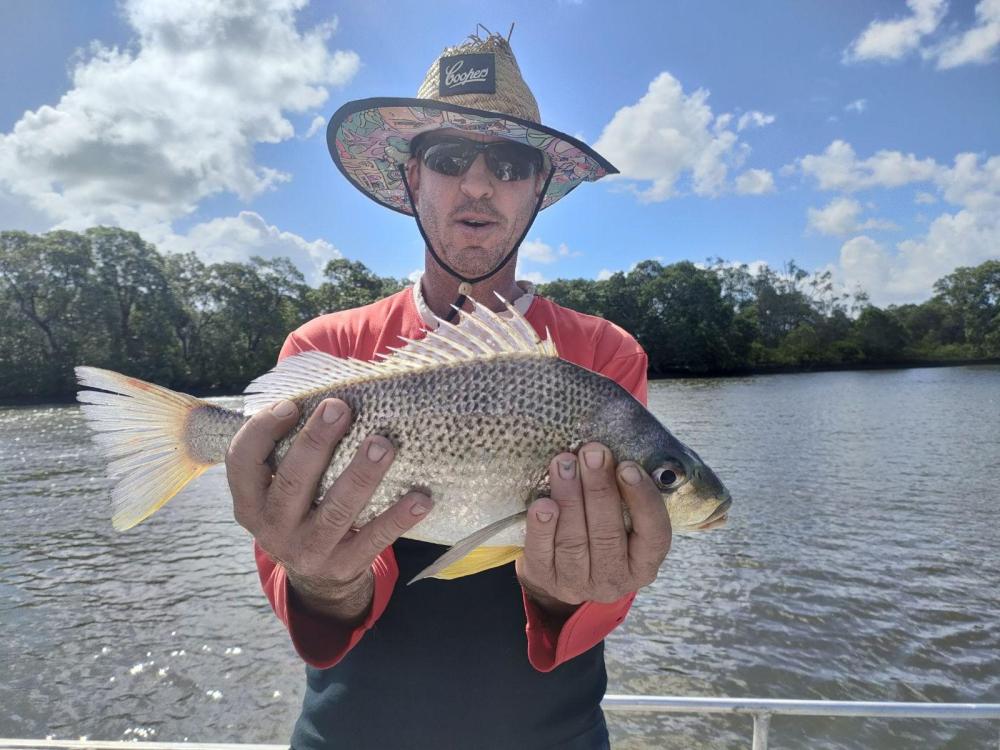 Couldn't quite get there - Saltwater - Australian Fishing Online
