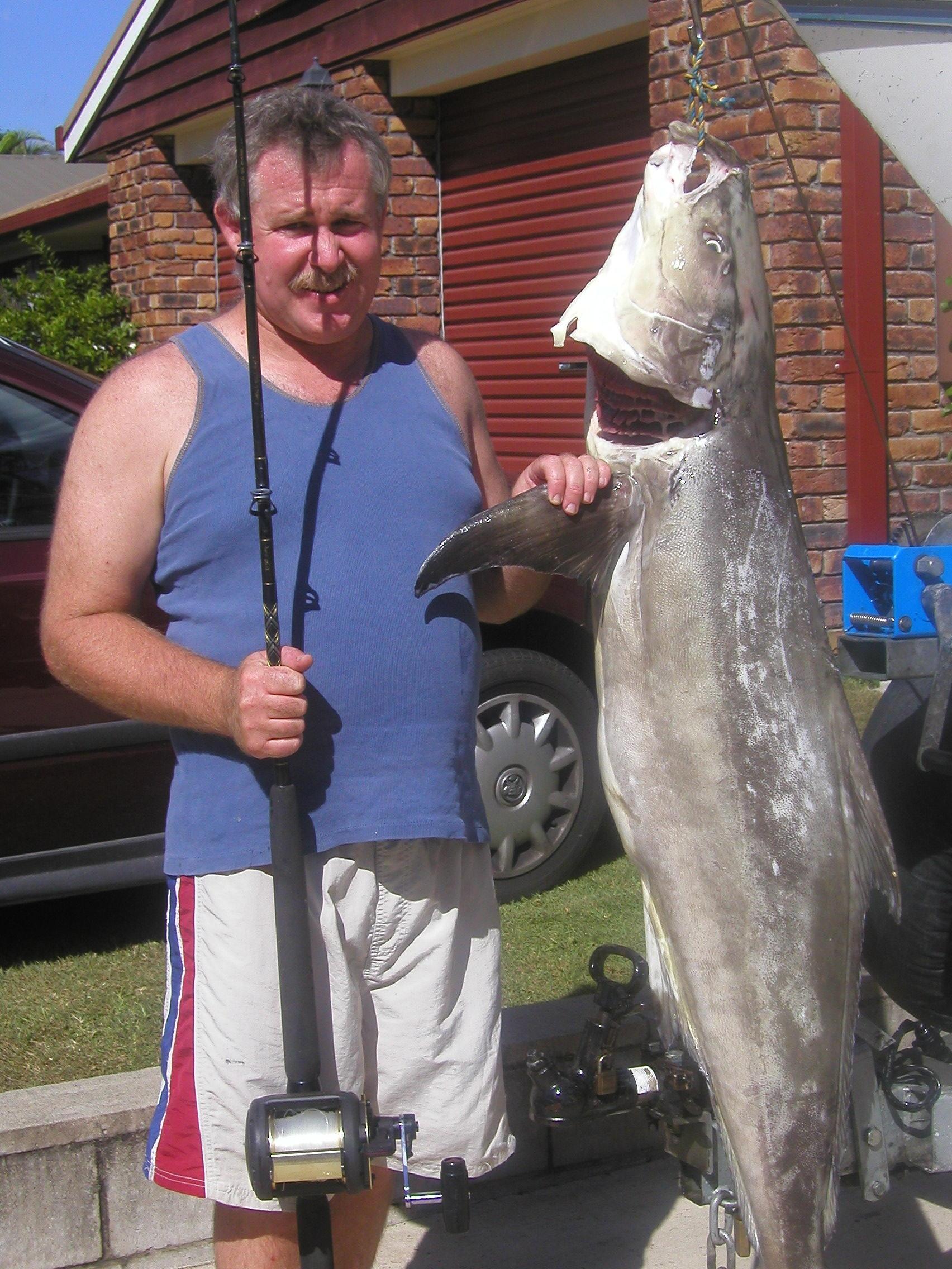 Haymaking - Saltwater - Australian Fishing Online