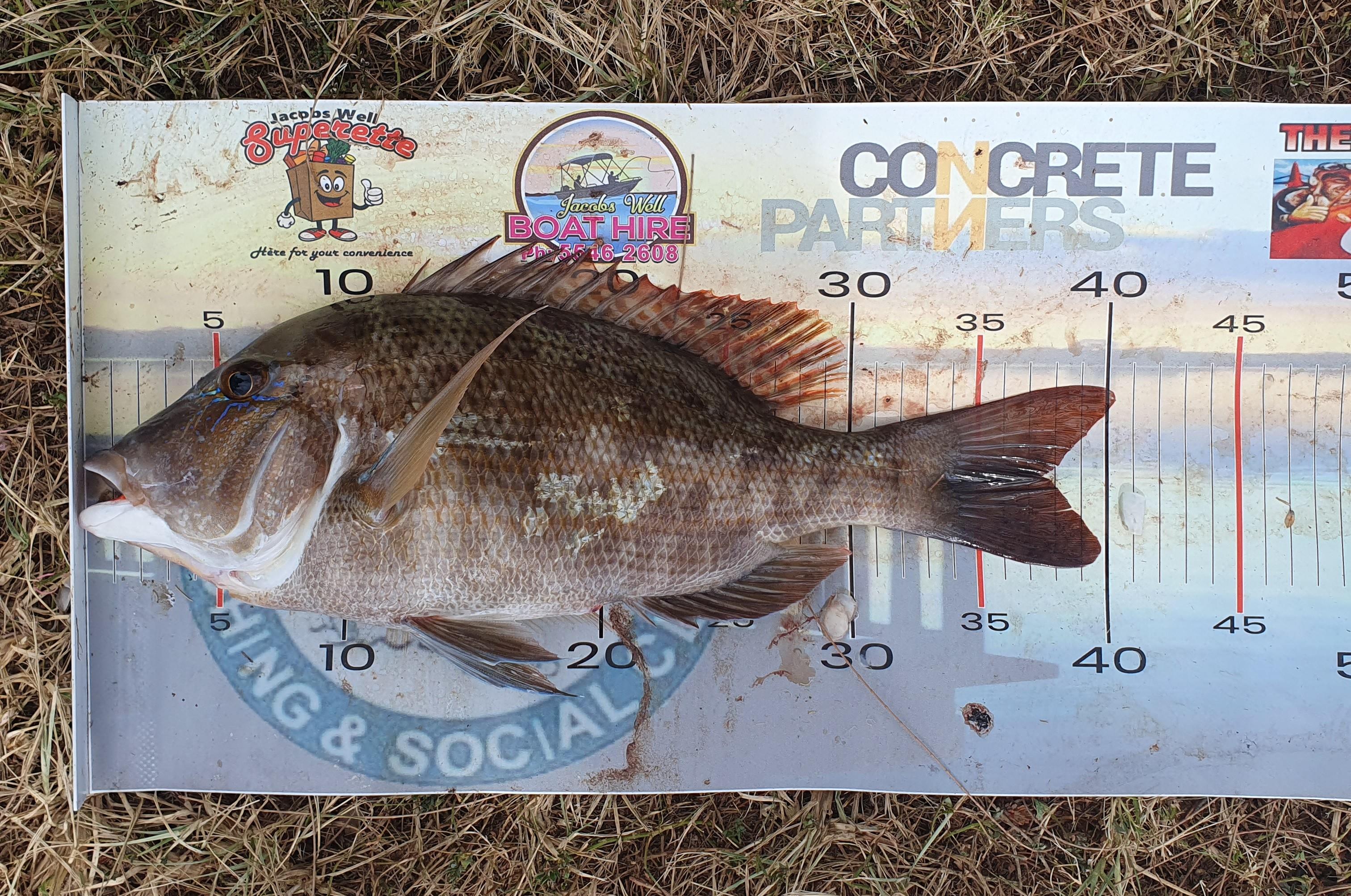 Amity Point - Mulloway and tuskies - Saltwater - Australian Fishing Online