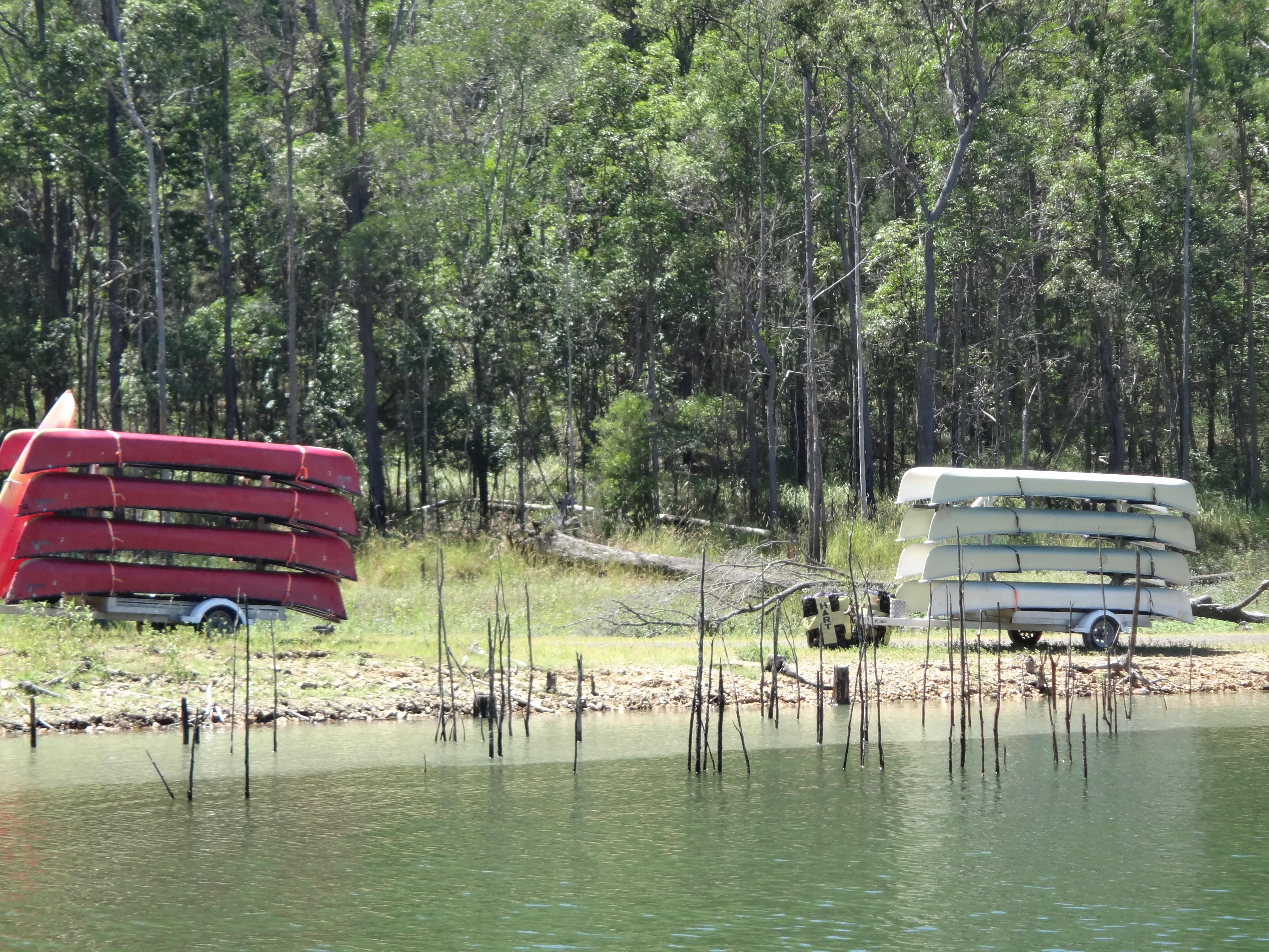 Buggall - Freshwater - Australian Fishing Online
