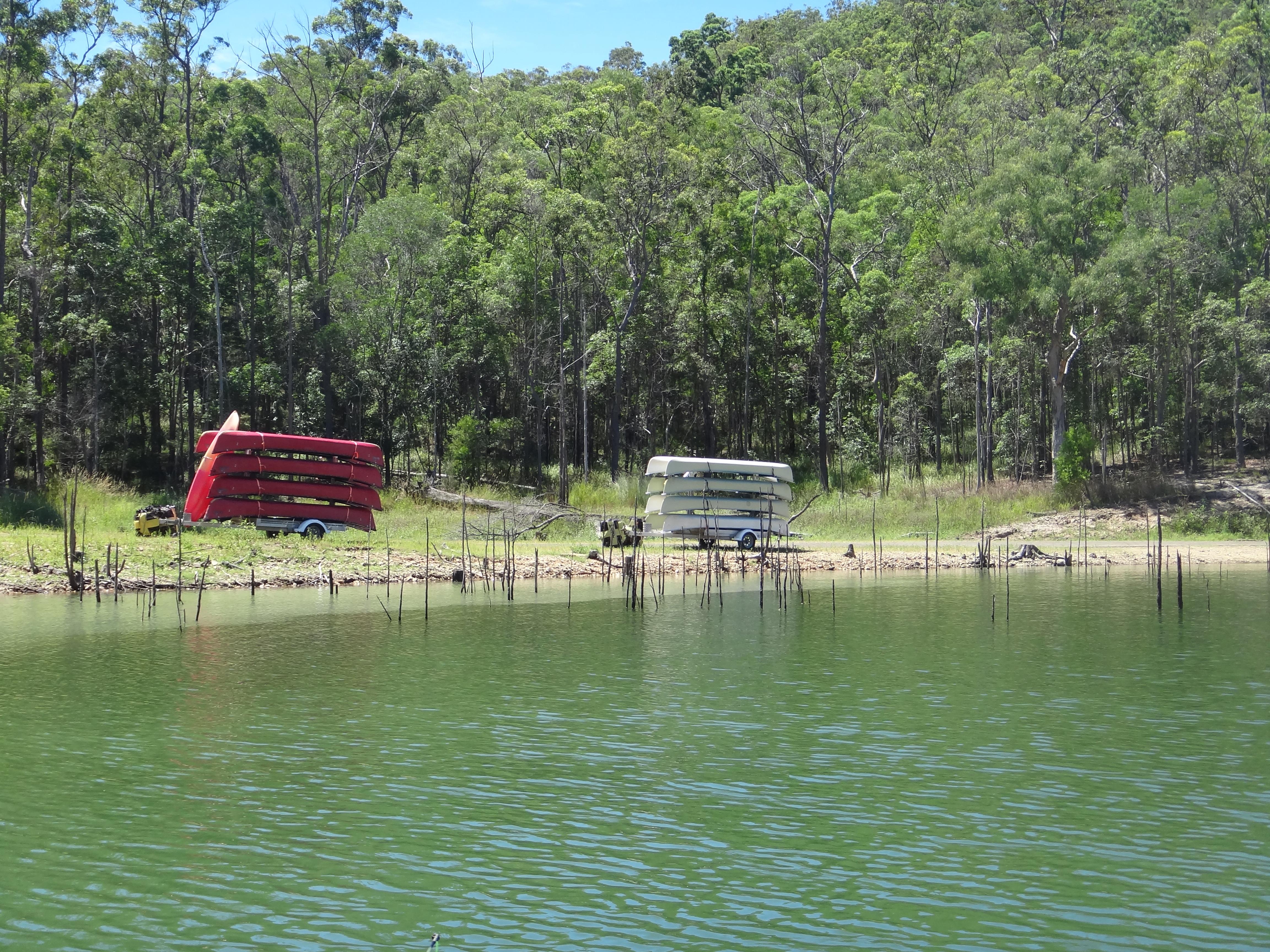 Buggall - Freshwater - Australian Fishing Online